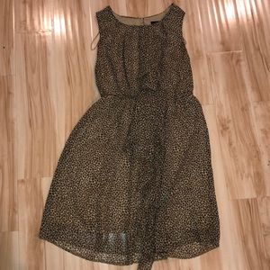 Leopard Print Dress
